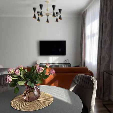 Apartment Danes23 - Self Check-in, Free Parking, Park And River View, Oldtown