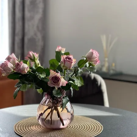 Danes23 - Self Check-in, Free Parking, Park And River View, Oldtown 公寓