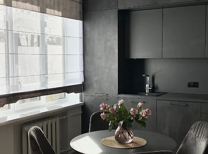 Danes23 - Self Check-in, Free Parking, Park And River View, Oldtown Apartment *