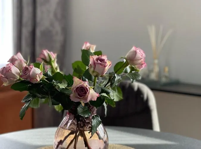 Danes23 - Self Check-in, Free Parking, Park And River View, Oldtown Apartment